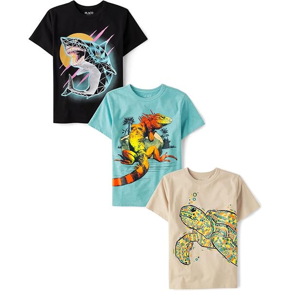 T-shirt Garçon The Children's Place - Taille 5T - Multicolore - Occasion Très Bon état