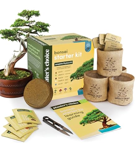 Kit De Germination D'avocat - Vase En Verre Avec Support Métal Et Base En Bois Pour Faire Pousser Un Avocatier Facilement