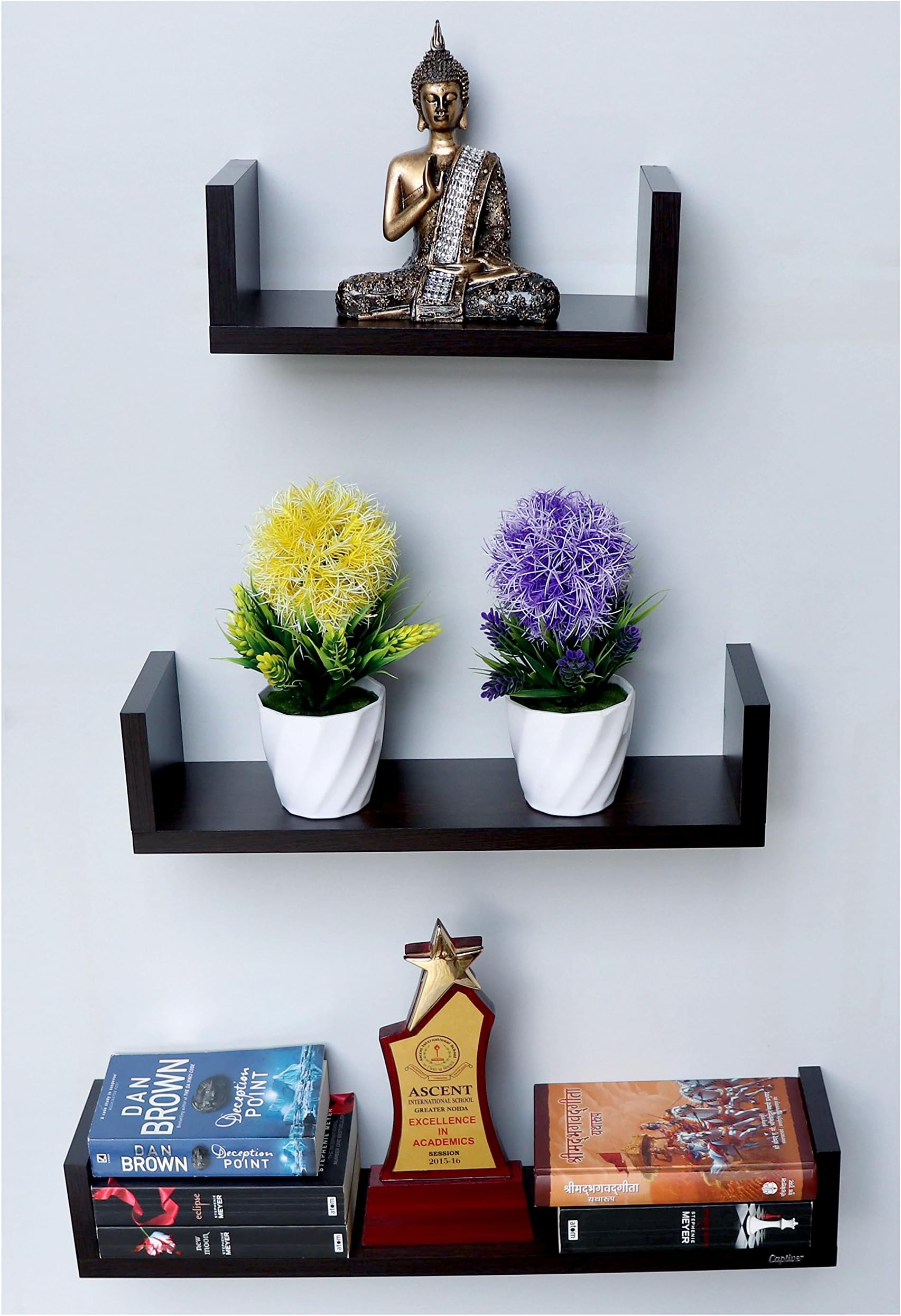 Captiver Engineered Wood Wall Hanging Decorative Books Shelf Stand (Tier 3, Wenge) Kitchen Shelves Storage Multipurpose Bedroom Students Study Style Stylish Self