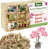 Riare 300g Natural Sphagnum Moss for Plants 12L Long-Fibered Orchid Moss