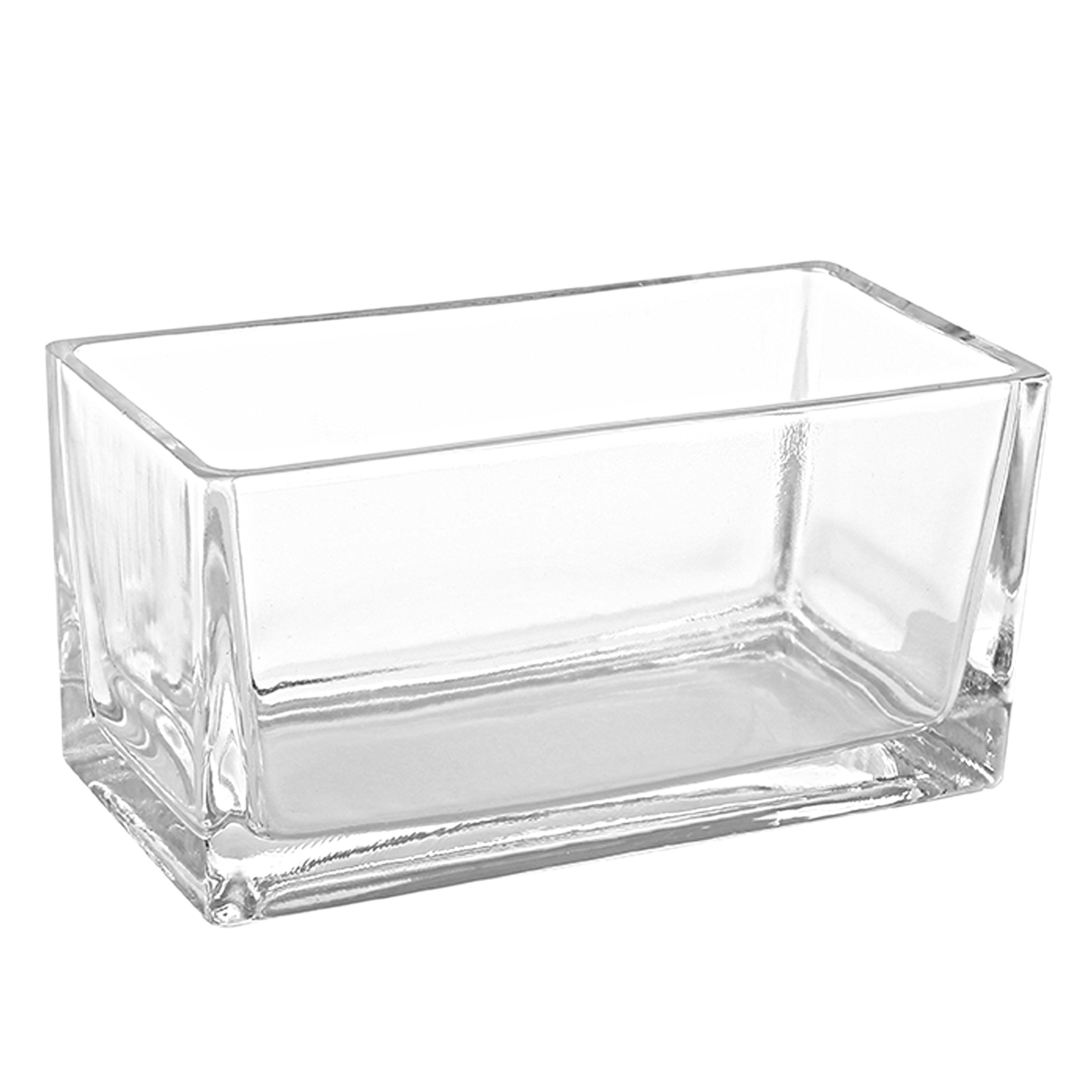 Photo 1 of MyGift 7.8 inch Modern Rectangular Glass Vase, Trough Planter, Tabletop Glass Terrarium