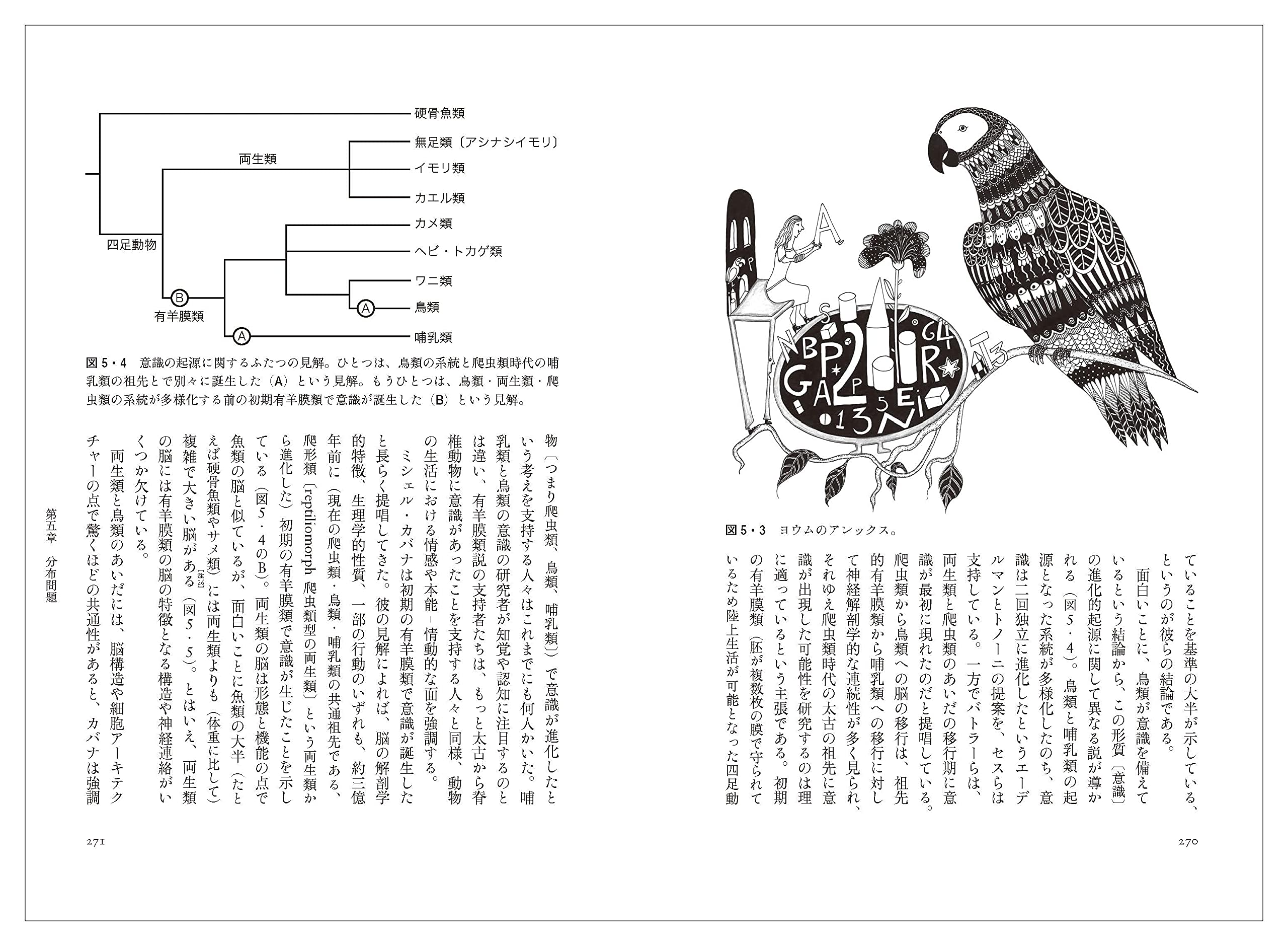 動物意識の誕生 上 生体システム理論と学習理論から解き明かす心の進化 シモーナ ギンズバーグ エヴァ ヤブロンカ 鈴木 大地 本 通販 Amazon