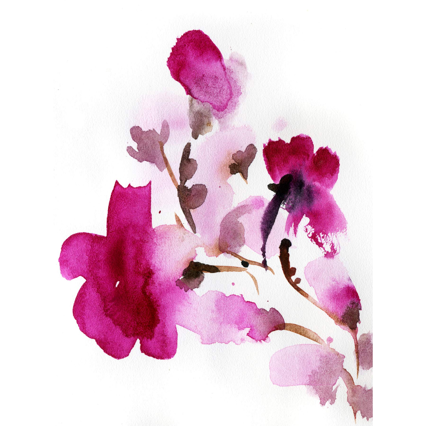 Wee Blue Coo Flower Pink Watercolour Large Wall Art Print Canvas Premium Poster