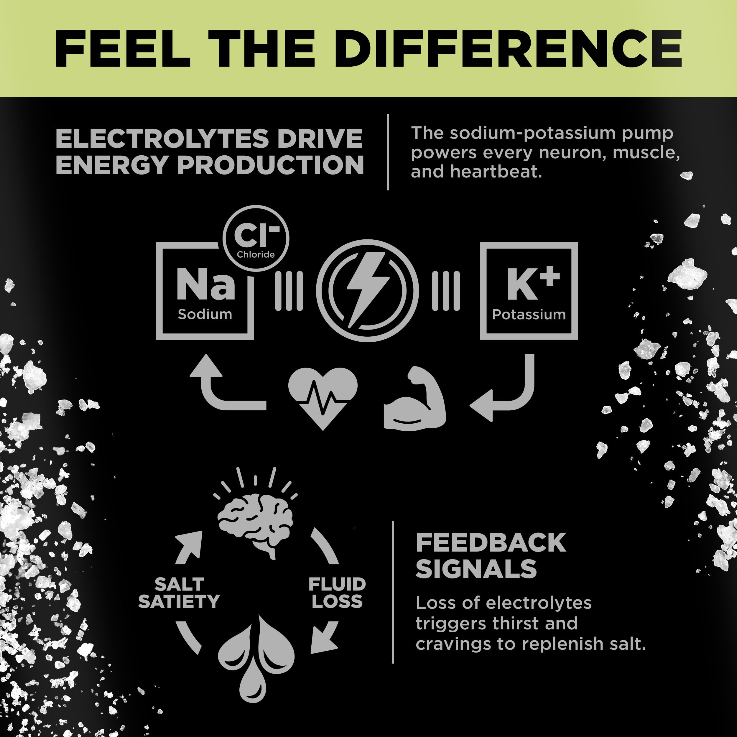 Drink LMNT Sparkling Electrolyte Drink - Citrus Salt | 12-Count