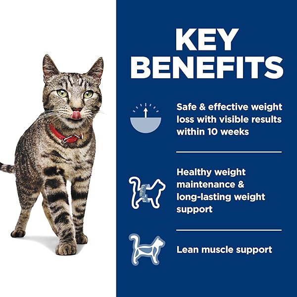 HILL’S SCIENCE DIET PERFECT WEIGHT, ADULT 1-6, WEIGHT MANAGEMENT SUPPORT, DRY CAT FOOD, CHICKEN RECIPE, 7 LB BAG