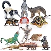 TOYMANY 12PCS Madagascar Animal Figurines, Realistic Forest Animals Figures, Jungle Zoo Animal Figure Set Includes Lemur Tort