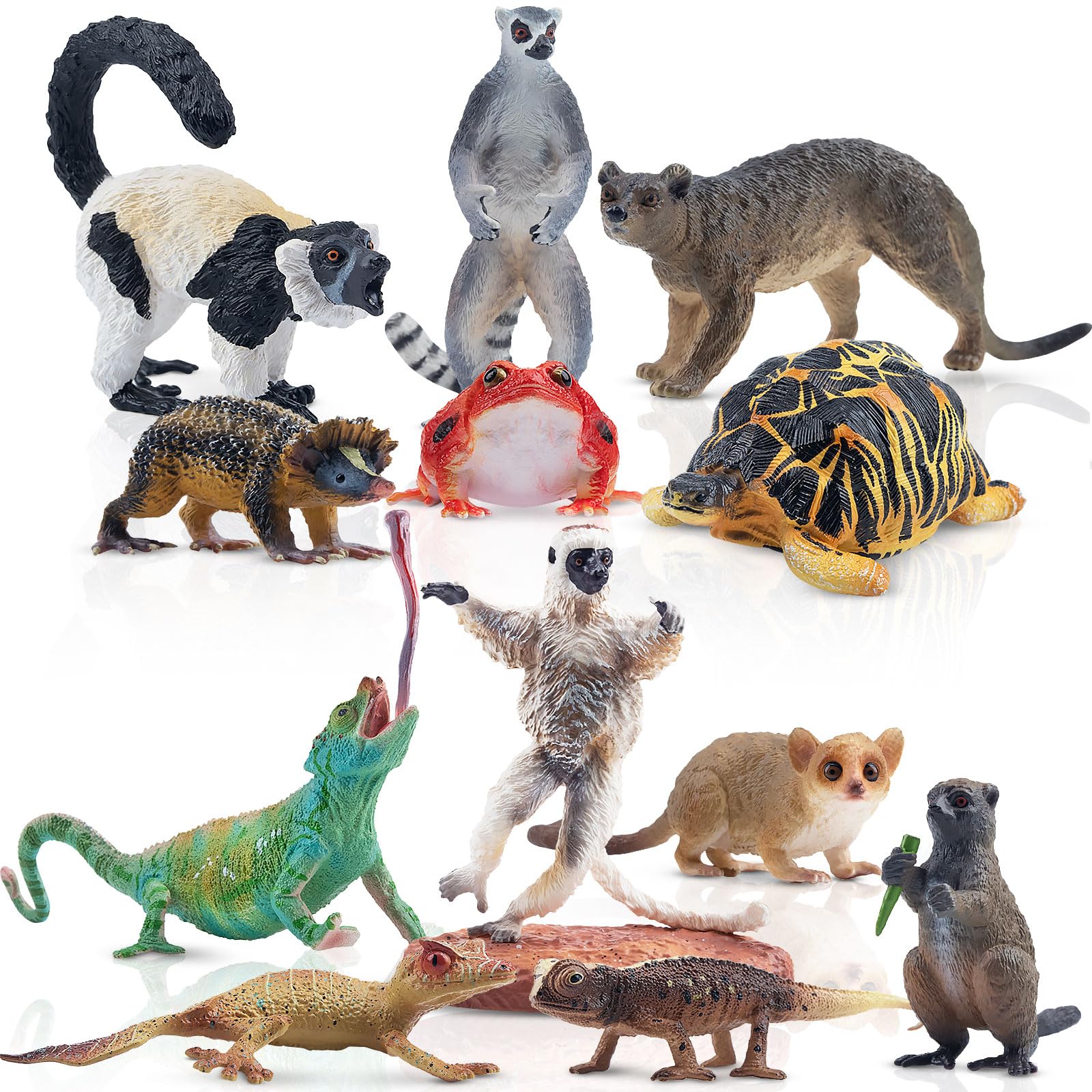 toymany 12PCS Madagascar Animal Figurines, Realistic Forest Animals Figures, Jungle Zoo Animal Figure Set Includes Lemur Tortoise Chameleon Verreaux's Sifaka, Christmas Birthday Gift Collection Toy