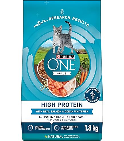 Purina ONE +Plus Dry Cat Food - High Protein Chicken Formula