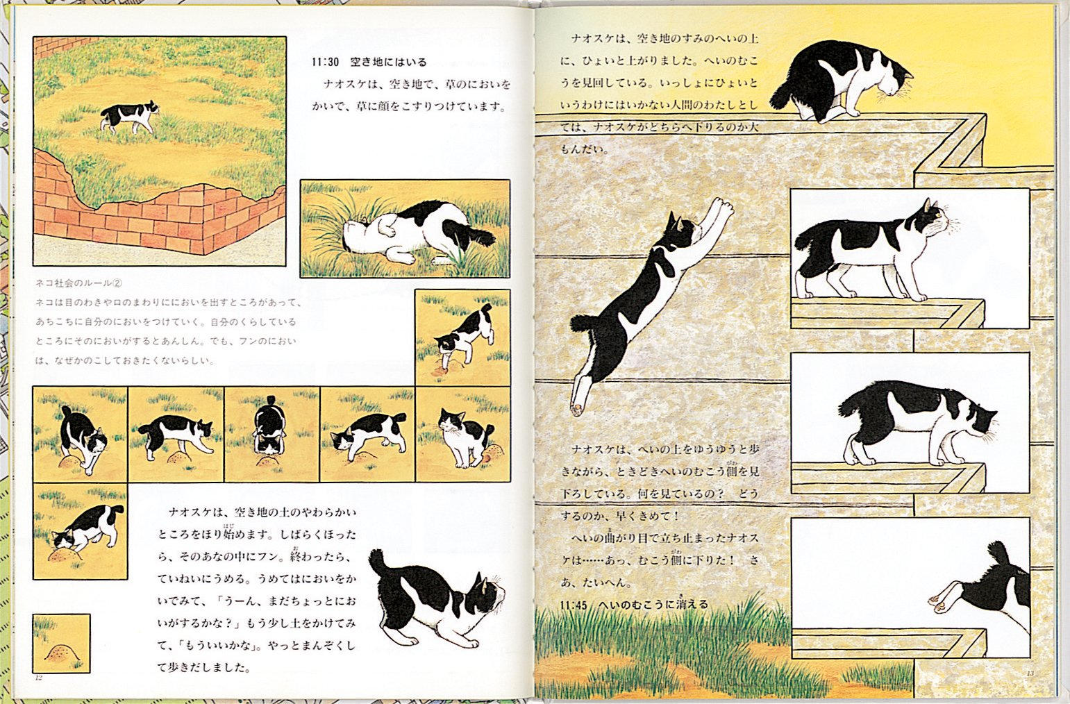 ノラネコの研究 (たくさんのふしぎ傑作集)  伊澤雅子, 平出衛 本 