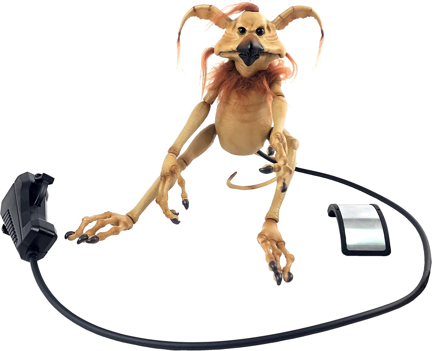 salacious crumb disneyland