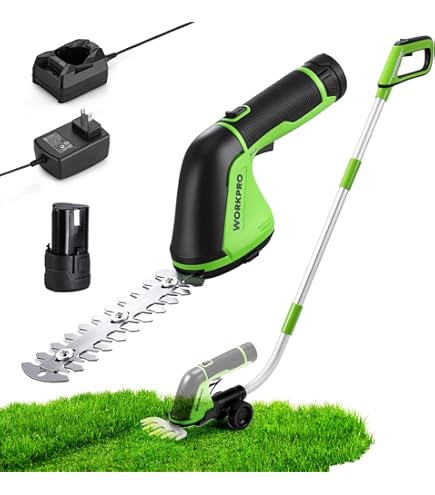 Amazon.com : Worx WG801 20V Power Share 4