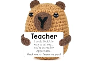 VIVAGIFTS Teacher Appreciation Gifts in Bulk for Women Men Thank You Gifts for Teacher Graduation End of the Year Back to School Birthday Retirement Gift Handmade Crochet Animals Capybara Doll Office Desk Decor