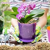 Riare 300g Natural Sphagnum Moss for Plants 12L Long-Fibered Orchid Moss view 7