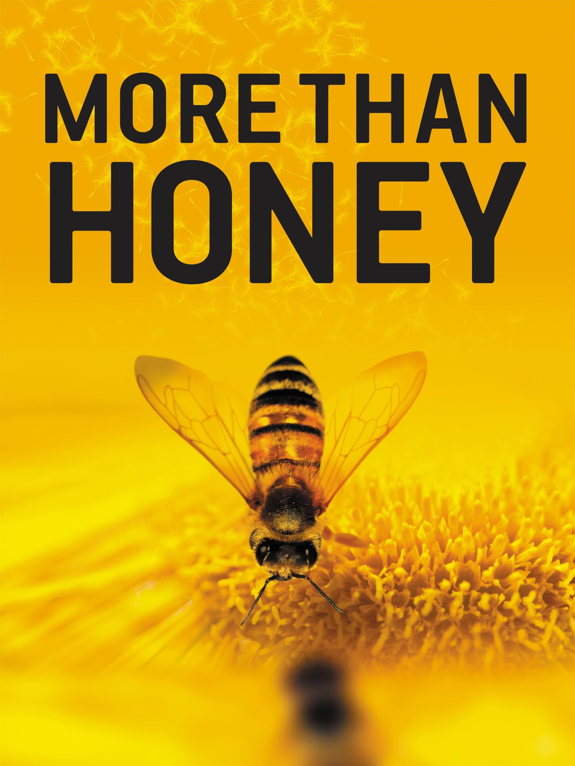 More Than Honey [DVD] [2012] [Region 1] [US Import] [NTSC]