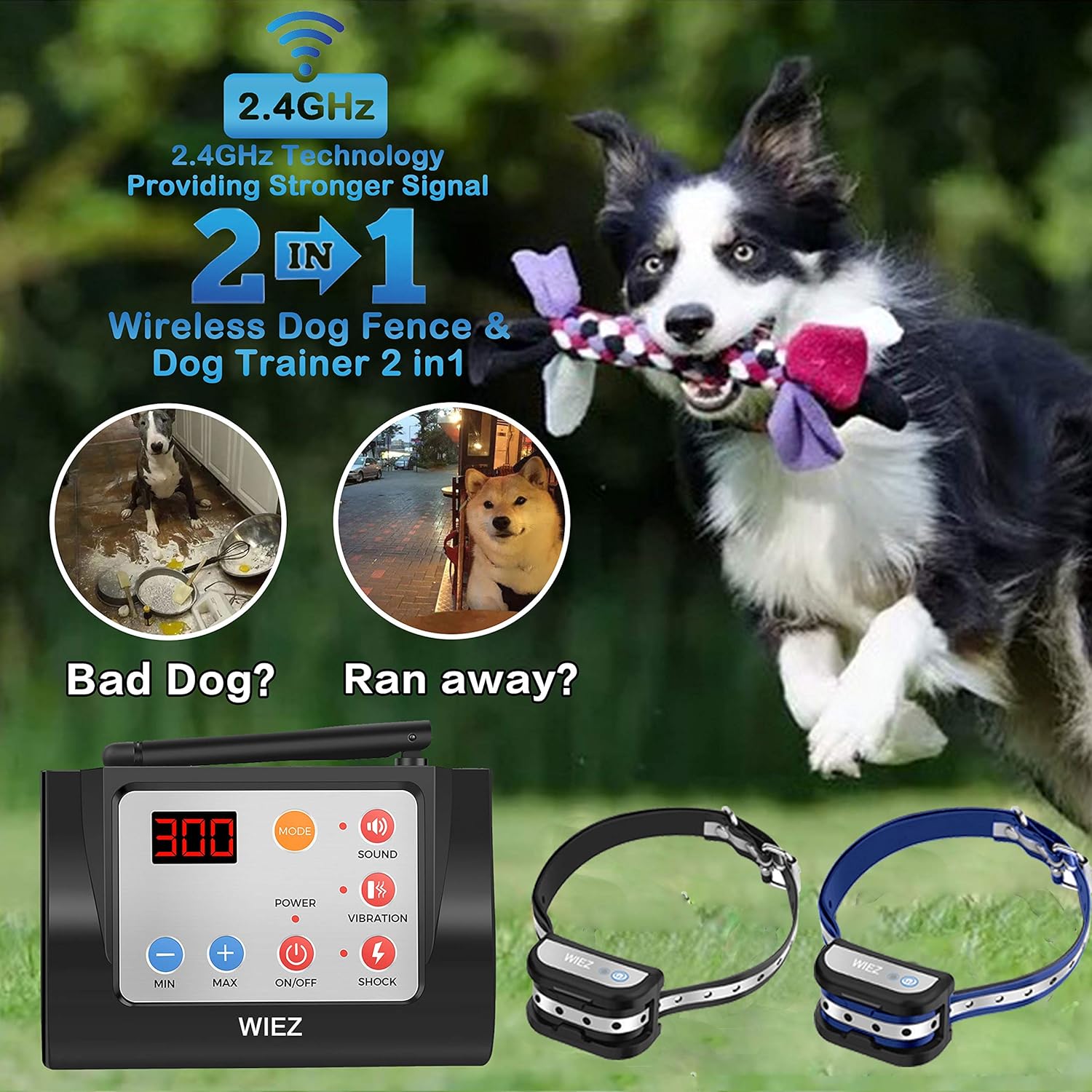 Reviews WIEZ Dog Fence Wireless & Training Collar Outdoor 2in1