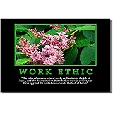 1x Motivational Self Positive Office Quotes Inspirational Success Teamwork Wall Silk Poster Art Prints for Big Room Hall Office 20x13" (50x33cm) (041)