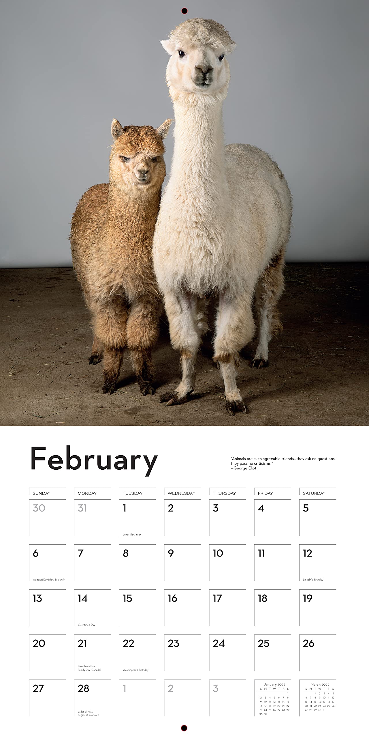 Alpaca Calendar 2022 Amazon.com: I Heart Alpacas Wall Calendar 2022: 9781523512577: Eliazarov,  Aliza, Workman Calendars: Books