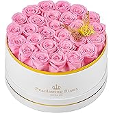27 Preserved Roses Forever Flowers Real Roses in a Box Mother's Day Birthday Flowers for Her Mom Women Wife Valentine's Day, Pink Roses