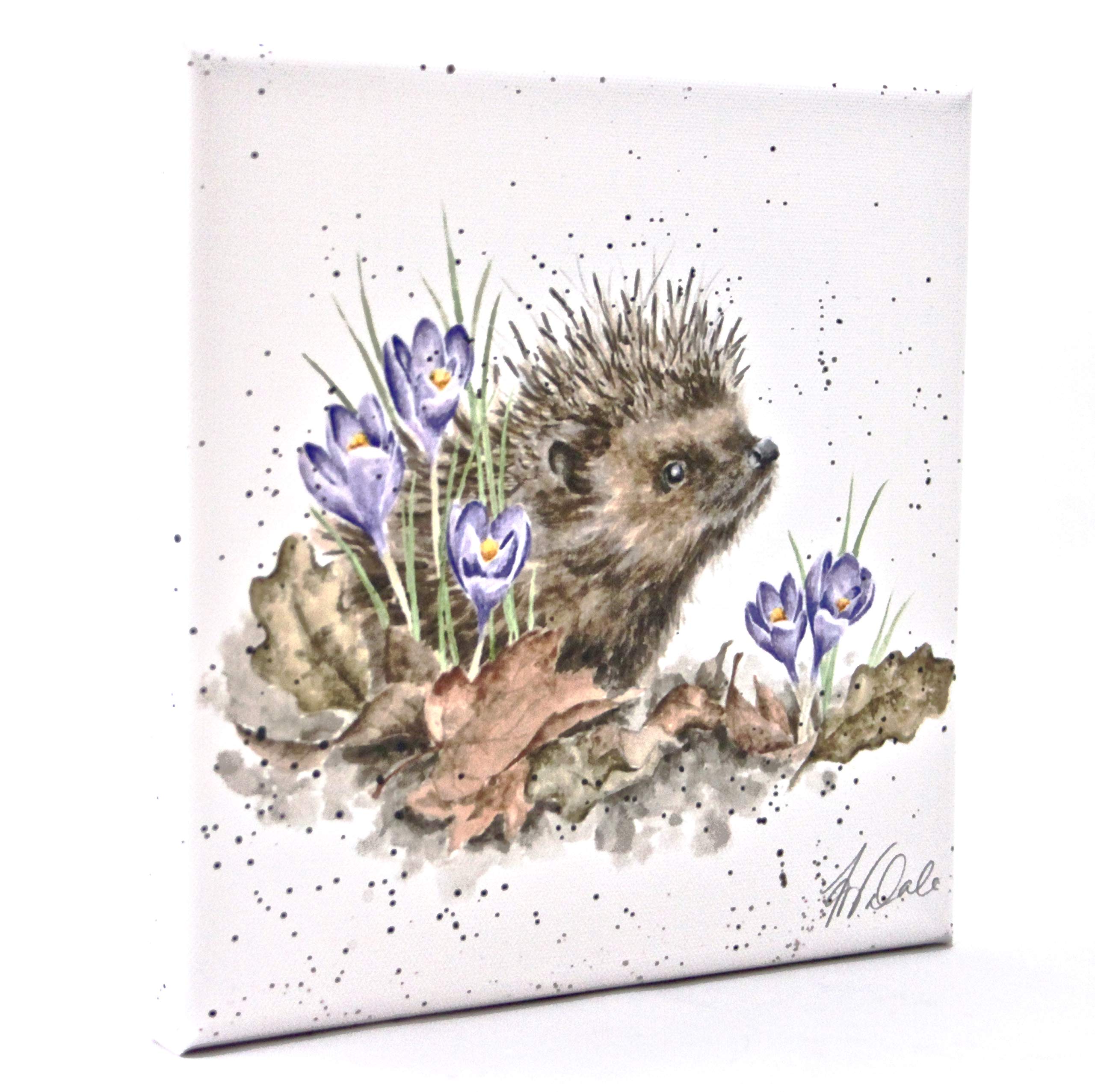 Wrendale Designs Hedgehog Print on White Square Canvas 20 Centimetre "New Beginnings"