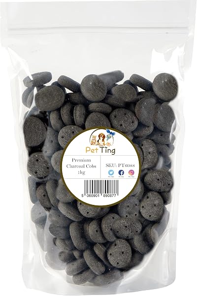 Pet Ting Premium Dog Biscuits Treats 1kg Charcoal Cobs Digestion