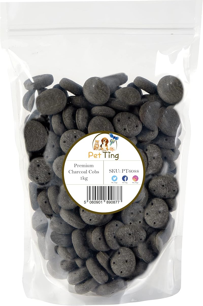 Pet Ting Premium Dog Biscuits Treats 1kg Charcoal Cobs Digestion
