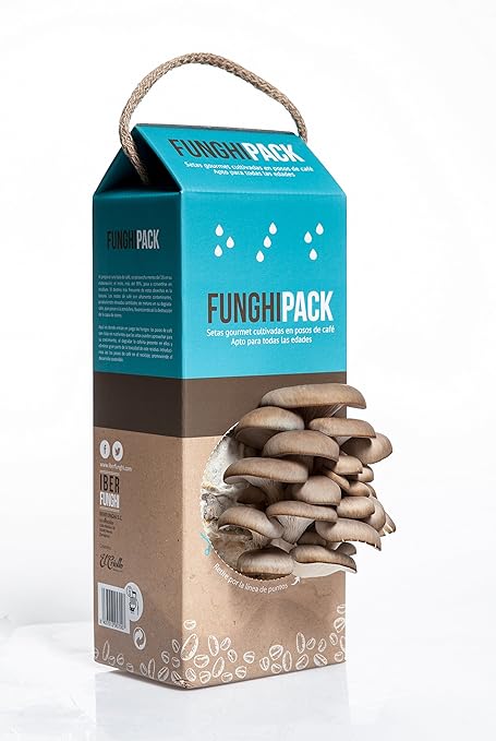 Funghipack-Kit de cultivo de setas sobre posos de café: Amazon.es ...