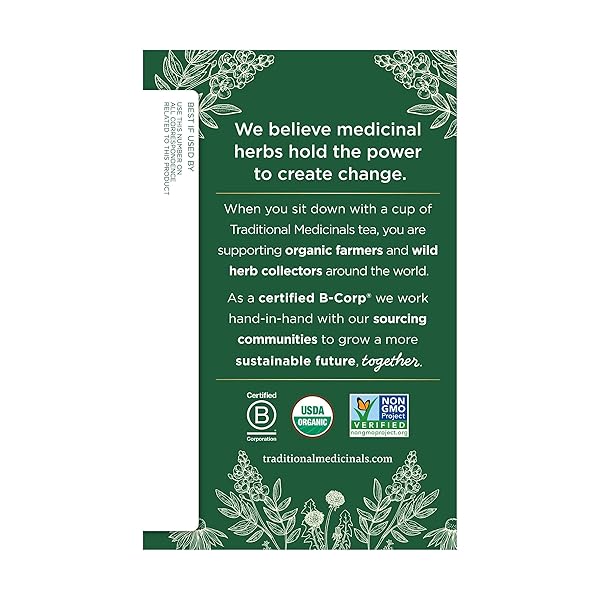 TRADITIONAL MEDICINALS, ORGANIC REISHI MUSHROOM TEA, 16 COUNT