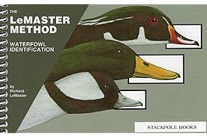 Waterfowl Identification