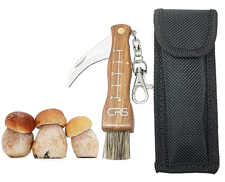 CRS Polizeigeprüftes Pilzmesser mit Bürste/Pinsel zum aufklappen mit Lineal aus rostfreiem Stahl. Kleines Taschenmesser für O