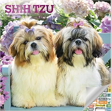 juguetes para shih tzu