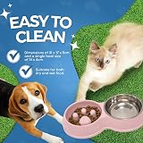Fur & Bone Double Slow Feeder Raised Dog Bowl Pink Stainless Steel Dual Bowl view 7