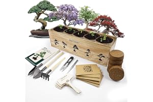 MAFOIRAY Bonsai Tree Kit, 5 X Unique Japanese Trees, Include Tree Seeds, Tools, Complete Indoor Friendly to Starter Kit for Growing Bonsai Plants, Gardening Gifts for Women & Men A