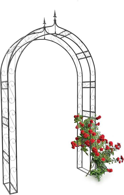 Relaxdays Arco de Metal Punta para Rosas 10020028-Arco, Negro ...