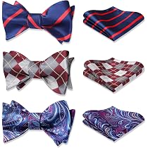 Ensemble Nœud Papillon Bicolore Et Mouchoir De Poche JEMYGINS Homme - Style Élégant, Cadeau