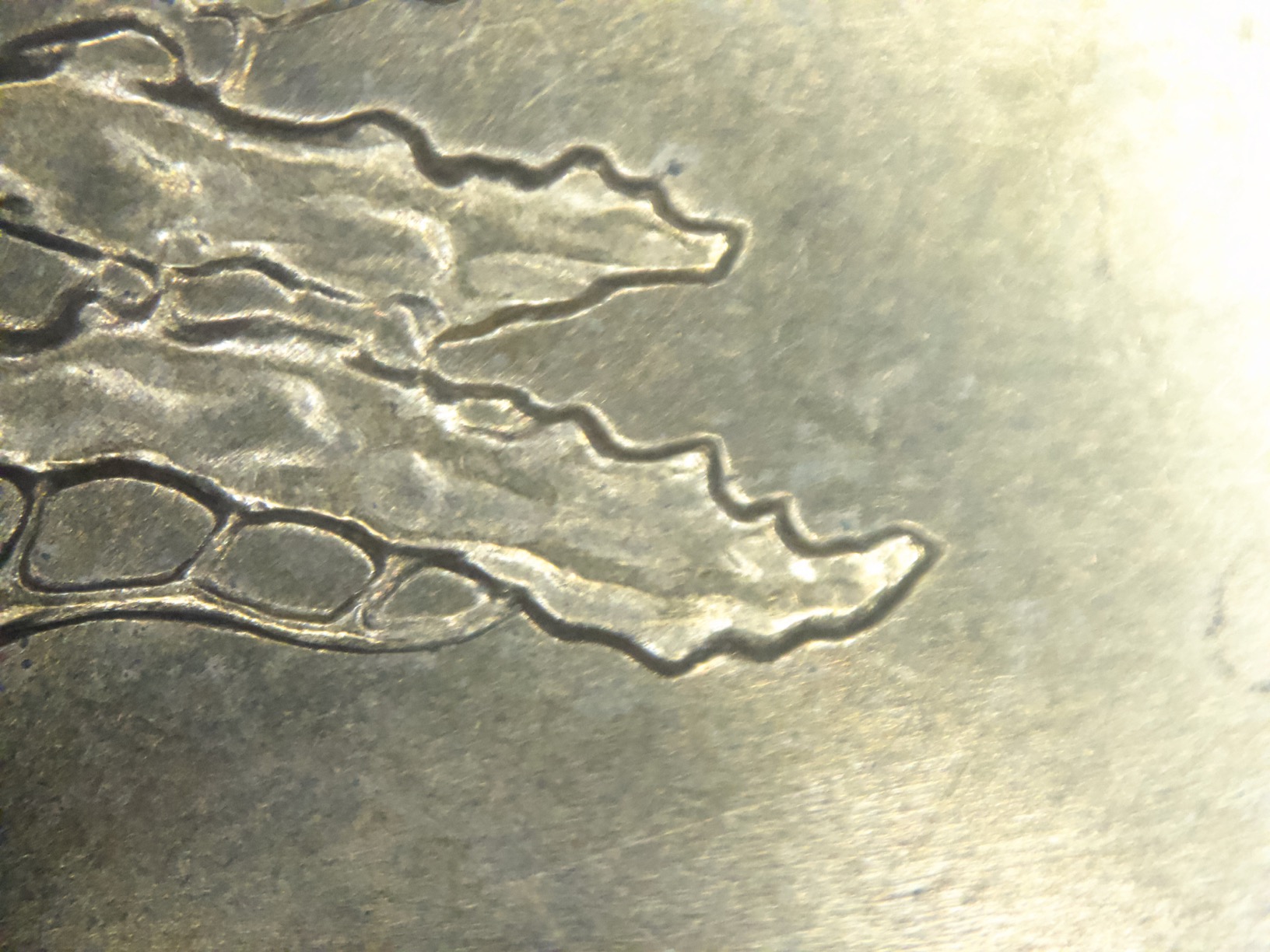 The Ring Light Helps With The Distance To The Subject