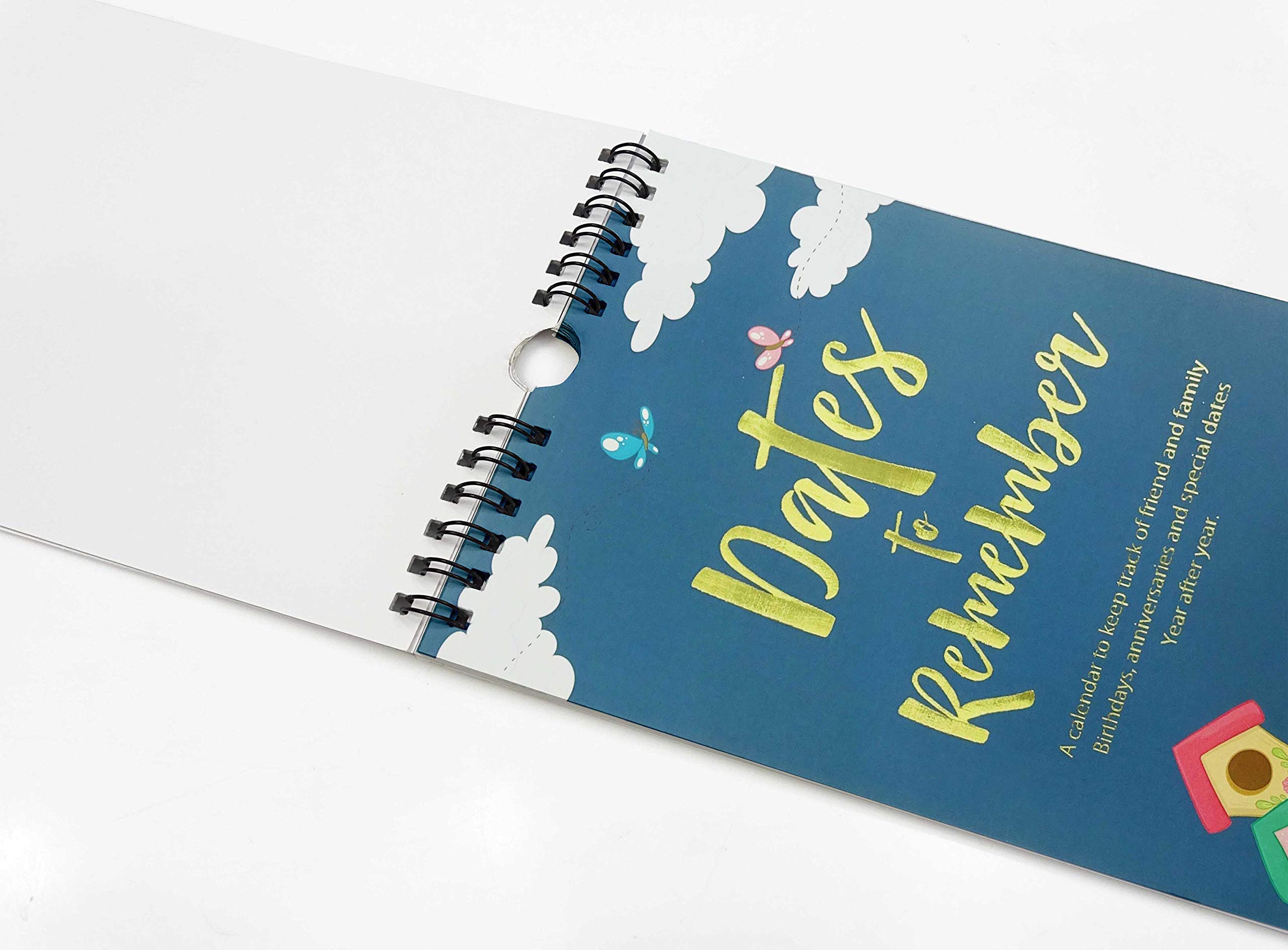 View 4