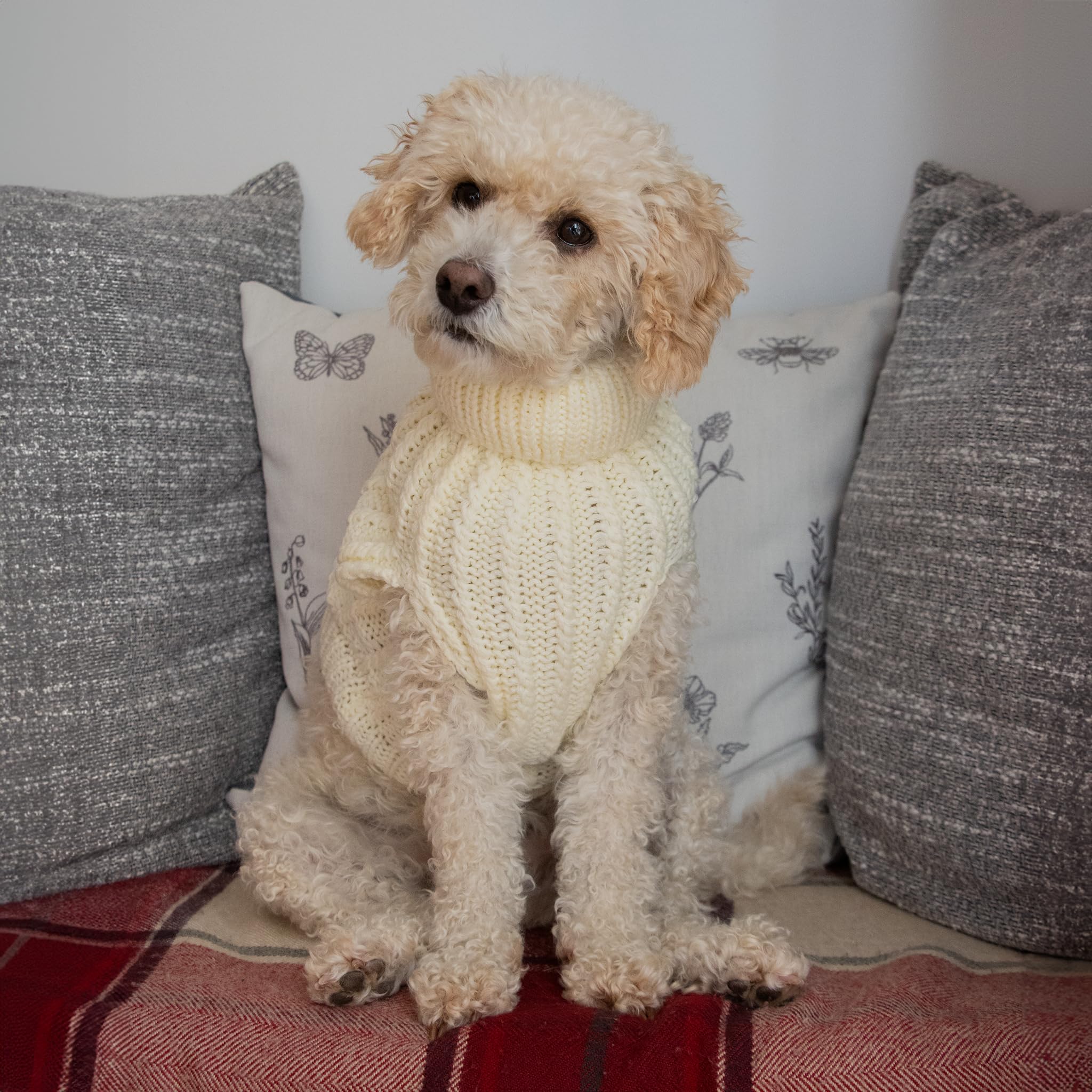 AllPetSolutions Fitted Puppy Sweater - Warm Dog Jumper Knitwear, Luxury Puppy Clothes - Knitted Clothing & Accessories for Dogs - Washable Dog Sweaters for Mid-Size Breeds - Medium, 35cm Long, Cream