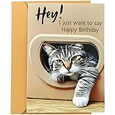 Hoojoot Funny Cat Themed Happy Birthday Greeting Card - 2D Design with Blank Interior for Personalized Messages, Perfect for Man Women, Cat Lovers, Friends & Family Celebrating Birthdays