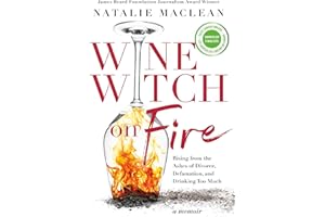 Wine Witch on Fire: Rising from the Ashes of Divorce, Defamation, and Drinking Too Much