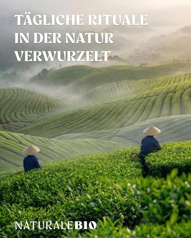 Bio Japanisches Premium Matcha Pulver L-Theanin