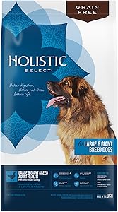 Holistic Select Natural Dry Dog Food Grain Free Large & Giant Breed Adult Chicken Meal & Lentil