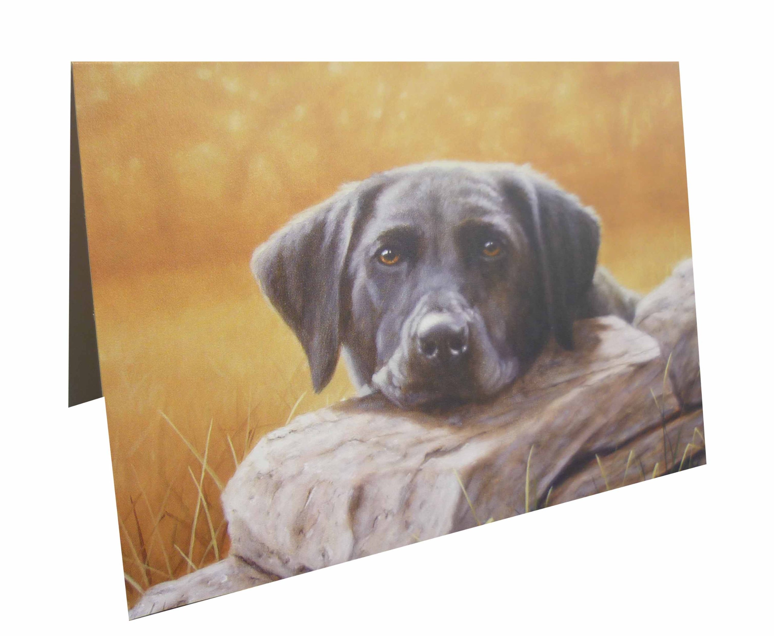 Black Labrador Notecards (pack of 10)