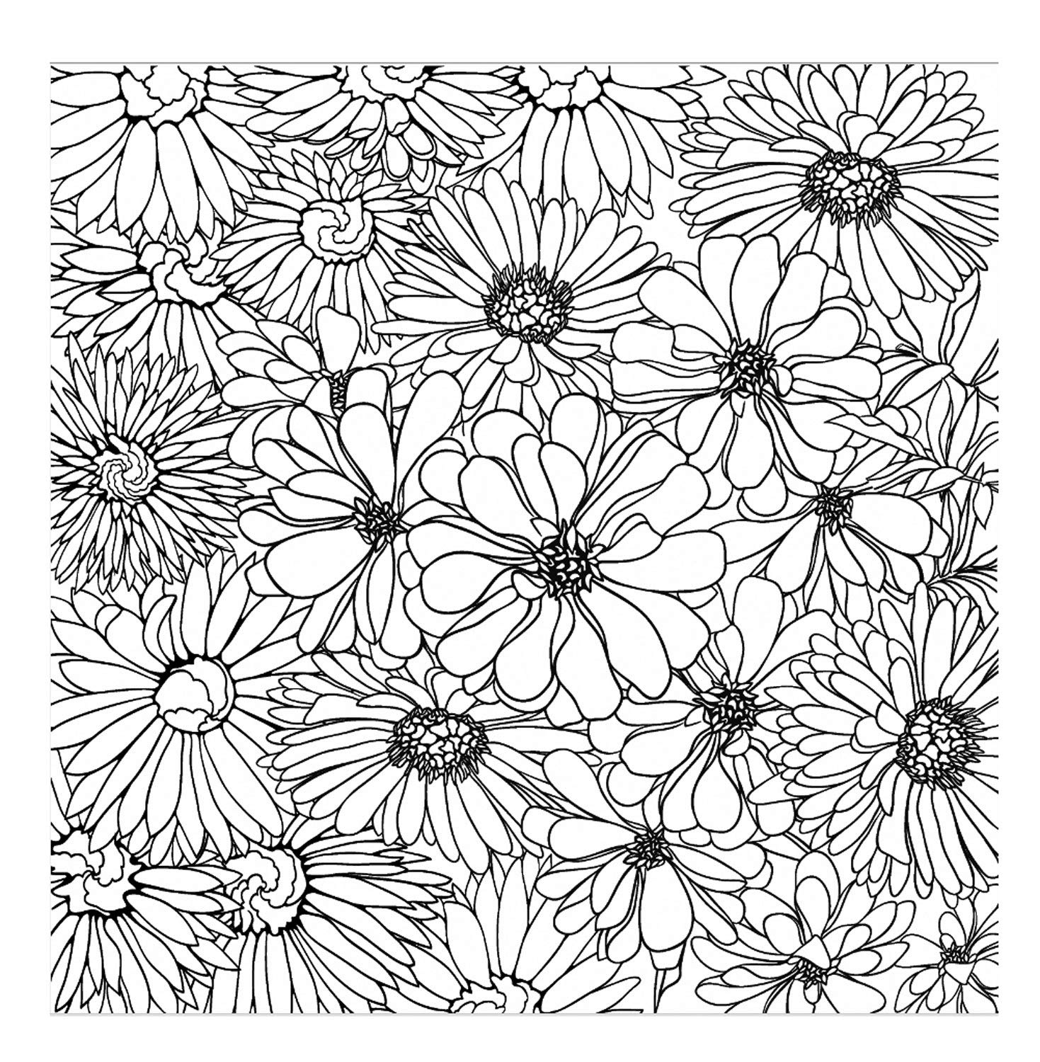 Honsell 12116 Stretcher Frame with Flower Motif, Size 30 x 30 cm, Pre-Printed Motif for Colouring with Acrylic, Watercolour and Oil Paints and Felt Pens โ image 1