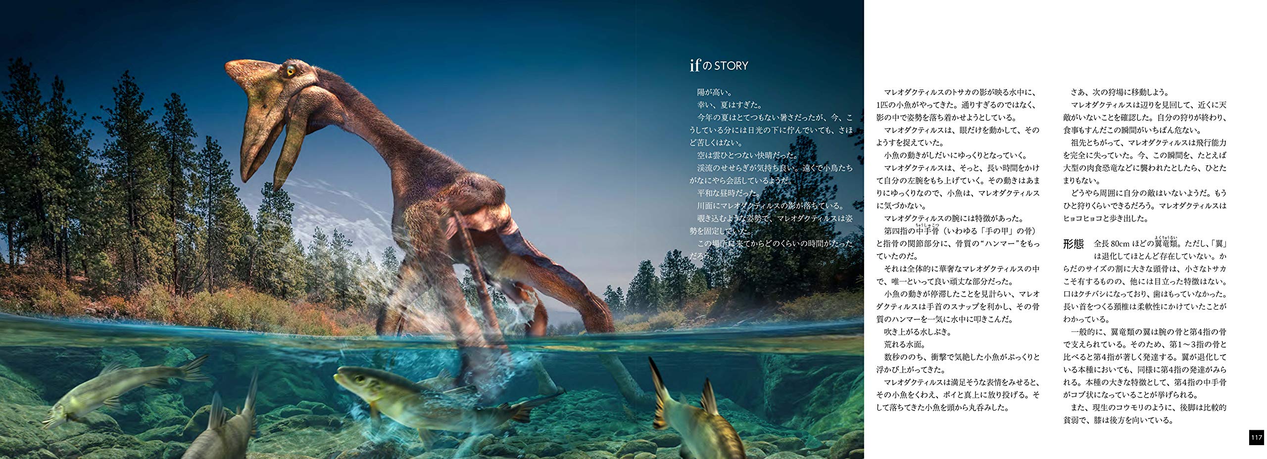 もしも 絶滅した生物が進化し続けたなら Ifの地球生命史 Graphic Voyage Amazon Co Uk Books