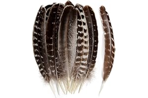 THARAHT Lot de 24 plumes d'ailes de dinde sauvages naturelles en vrac - 15 à 20 cm - Pour loisirs créatifs, collection, décor