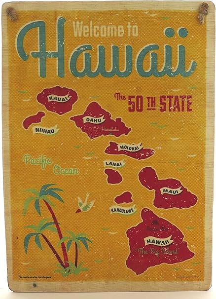 Amazon Co Jp ハワイアン 雑貨 インテリア ハワイ 雑貨 ハワイアン ヴィンテージ ピクチャー Hawaii E ハワイ お土産 ホーム キッチン