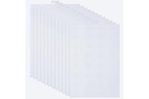 ABuff 12PCS 14 Count Plastic Mesh Canvas Sheets, 14 CT Perforated Plastic Stitching Canvas Cross Stitch PlasticMesh Canvass for Embroidery, Crafts DIY Crochet Projects, 8.2 X 11 Inch, White