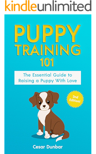 puppy training guide