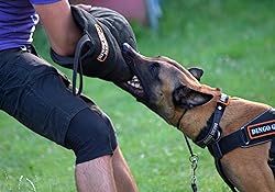 Dingo Gear Medium Hard Nylcot Bite Sleeve with