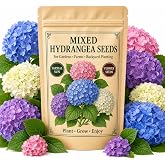 NYGardenia 35 Mixed Color Hydrangea Seeds &ndash; Blue, Pink &amp; Purple Blooming Flower Seeds for Home Garden Planting, Non-GMO